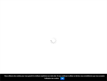 Tablet Screenshot of magerpro.com
